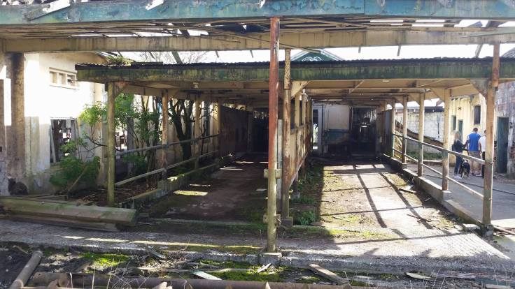 18987786_10209371219653837_449512637_o