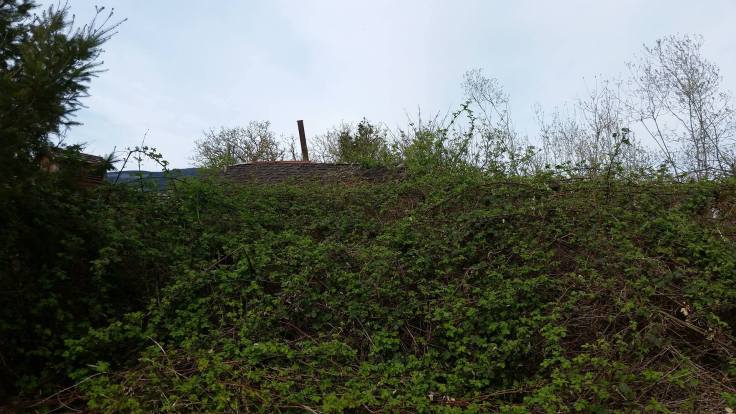 19024391_10209371330856617_1646514193_o